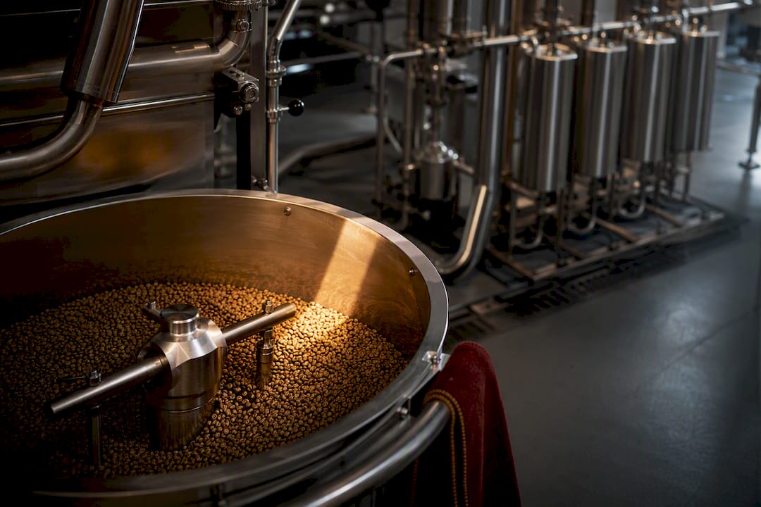 Green coffee beans in decaffeination facility