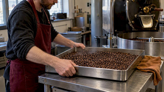 Freshly roasted coffee beans cooling in roastery